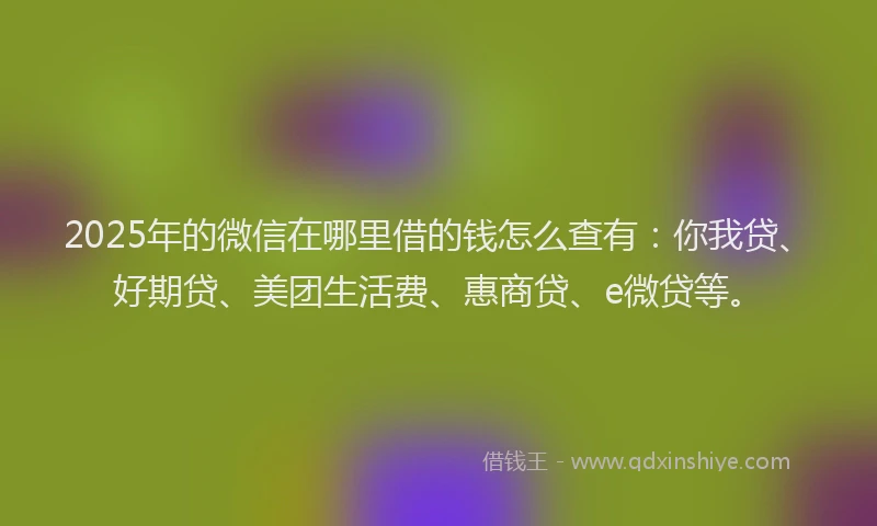 2025年的微信在哪里借的钱怎么查有：你我贷、好期贷、美团生活费、惠商贷、e微贷等。
