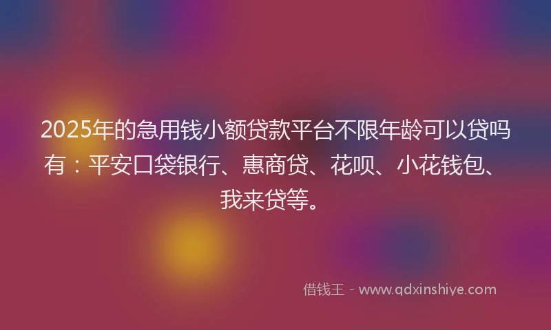 2025年的急用钱小额贷款平台不限年龄可以贷吗有：平安口袋银行、惠商贷、花呗、小花钱包、我来贷等。