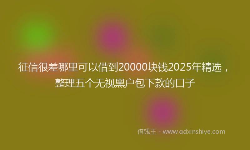 征信很差哪里可以借到20000块钱2025年精选，整理五个无视黑户包下款的口子