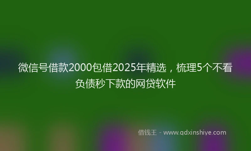 微信号借款2000包借2025年精选，梳理5个不看负债秒下款的网贷软件