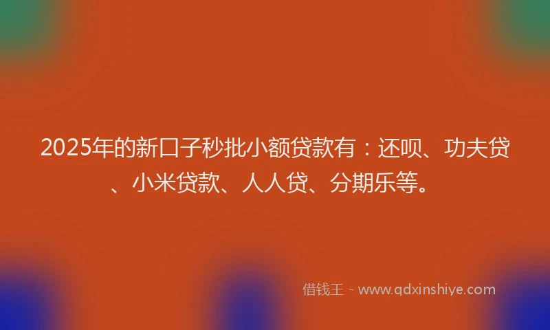 2025年的新口子秒批小额贷款有：还呗、功夫贷、小米贷款、人人贷、分期乐等。