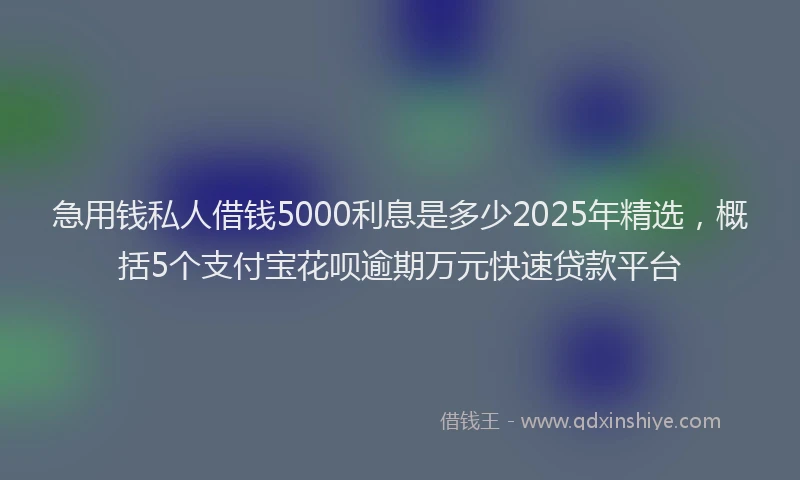 急用钱私人借钱5000利息是多少2025年精选，概括5个支付宝花呗逾期万元快速贷款平台