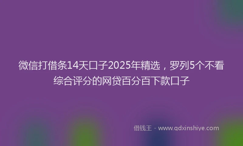 微信打借条14天口子2025年精选，罗列5个不看综合评分的网贷百分百下款口子