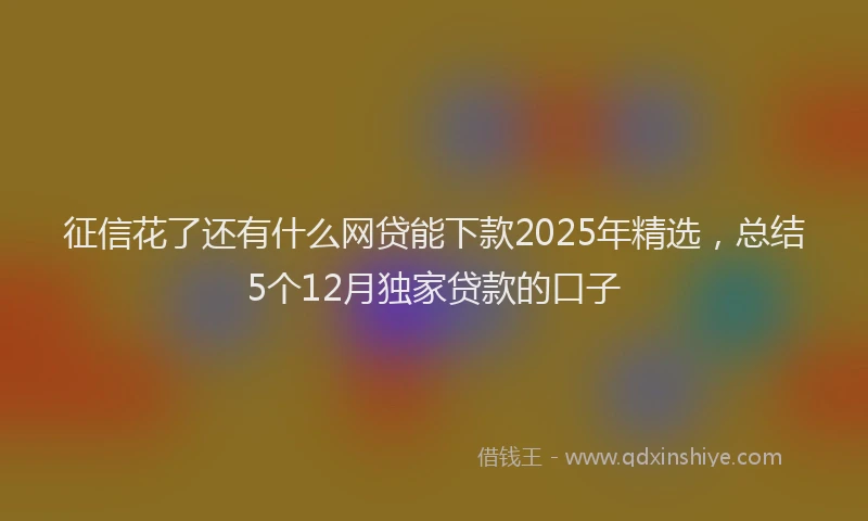 征信花了还有什么网贷能下款2025年精选，总结5个12月独家贷款的口子