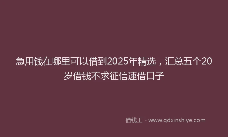 急用钱在哪里可以借到2025年精选，汇总五个20岁借钱不求征信速借口子