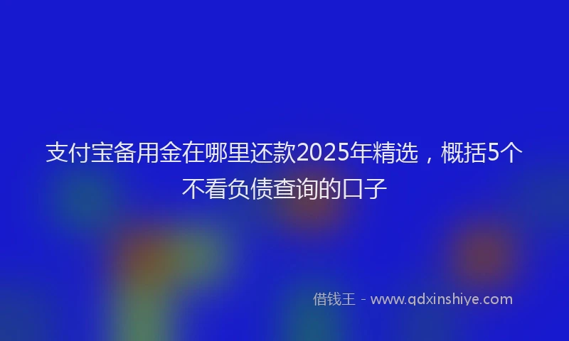 支付宝备用金在哪里还款2025年精选，概括5个不看负债查询的口子