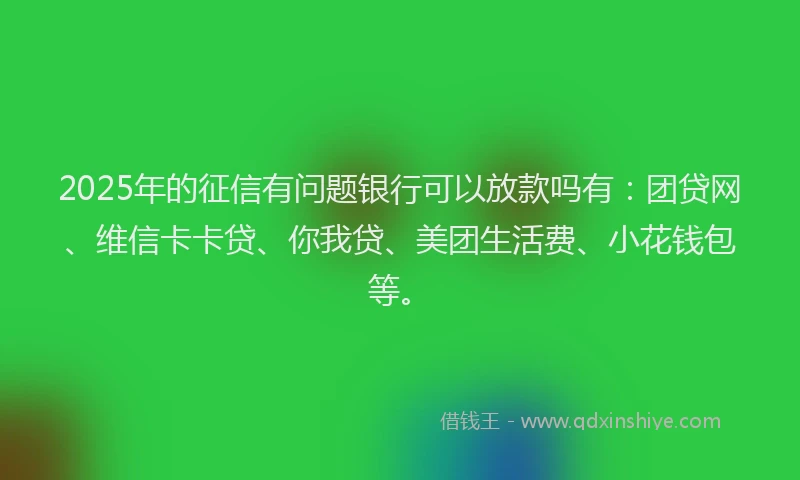 2025年的征信有问题银行可以放款吗有：团贷网、维信卡卡贷、你我贷、美团生活费、小花钱包等。