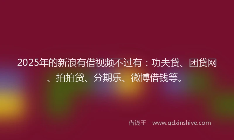 2025年的新浪有借视频不过有：功夫贷、团贷网、拍拍贷、分期乐、微博借钱等。