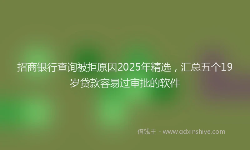 招商银行查询被拒原因2025年精选，汇总五个19岁贷款容易过审批的软件