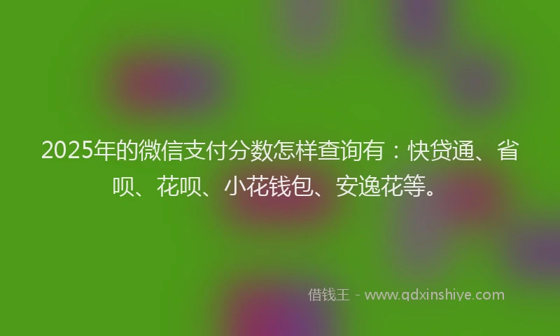 2025年的微信支付分数怎样查询有：快贷通、省呗、花呗、小花钱包、安逸花等。