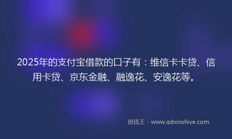 2025年的支付宝借款的口子有：维信卡卡贷、信用卡贷、京东金融、融逸花、安逸花等。