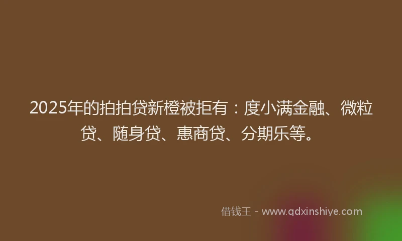 2025年的拍拍贷新橙被拒有：度小满金融、微粒贷、随身贷、惠商贷、分期乐等。