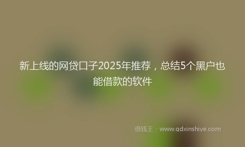 新上线的网贷口子2025年推荐，总结5个黑户也能借款的软件