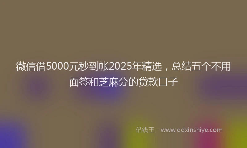 微信借5000元秒到帐2025年精选，总结五个不用面签和芝麻分的贷款口子
