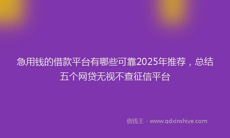 急用钱的借款平台有哪些可靠2025年推荐，总结五个网贷无视不查征信平台