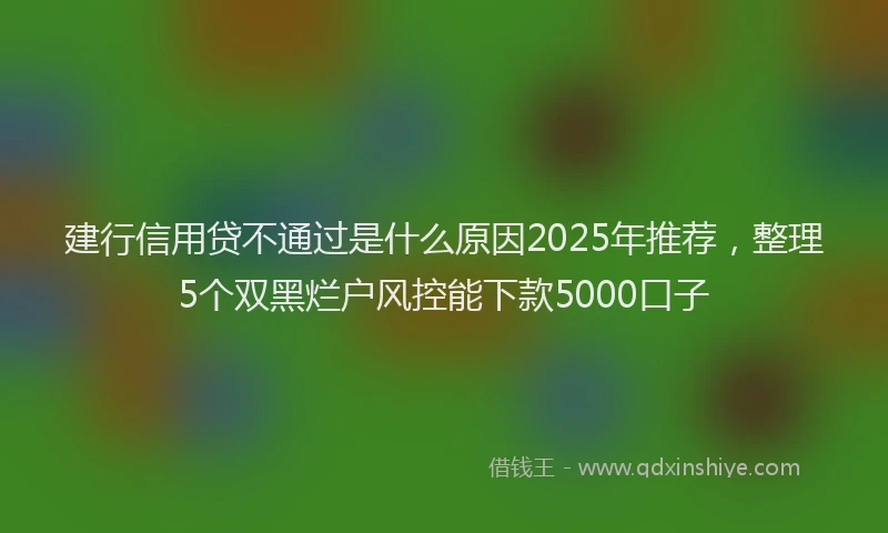 建行信用贷不通过是什么原因2025年推荐，整理5个双黑烂户风控能下款5000口子