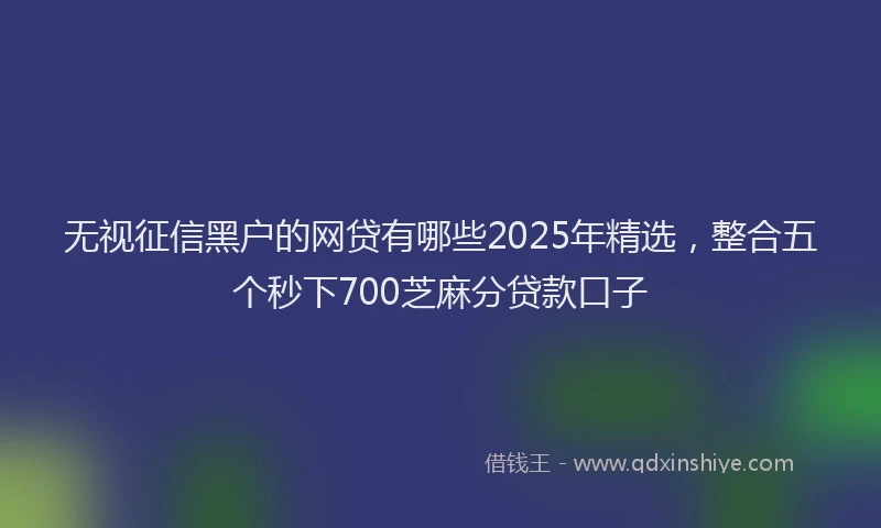 无视征信黑户的网贷有哪些2025年精选，整合五个秒下700芝麻分贷款口子