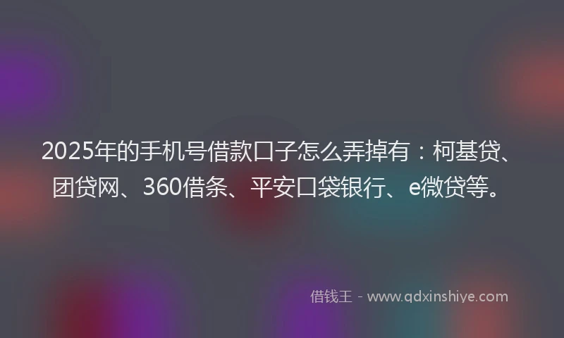 2025年的手机号借款口子怎么弄掉有：柯基贷、团贷网、360借条、平安口袋银行、e微贷等。
