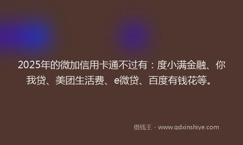 2025年的微加信用卡通不过有：度小满金融、你我贷、美团生活费、e微贷、百度有钱花等。