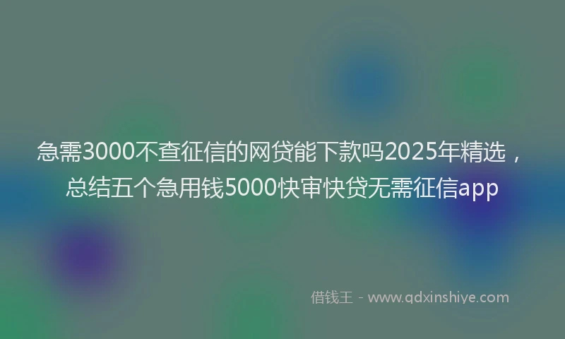 急需3000不查征信的网贷能下款吗2025年精选，总结五个急用钱5000快审快贷无需征信app