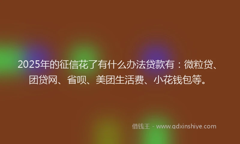 2025年的征信花了有什么办法贷款有：微粒贷、团贷网、省呗、美团生活费、小花钱包等。