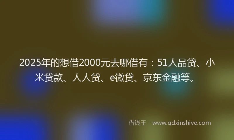 2025年的想借2000元去哪借有：51人品贷、小米贷款、人人贷、e微贷、京东金融等。