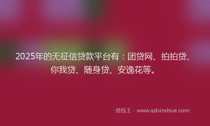2025年的无征信贷款平台有：团贷网、拍拍贷、你我贷、随身贷、安逸花等。