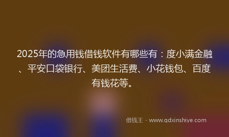 2025年的急用钱借钱软件有哪些有：度小满金融、平安口袋银行、美团生活费、小花钱包、百度有钱花等。