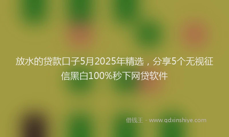 放水的贷款口子5月2025年精选，分享5个无视征信黑白100%秒下网贷软件
