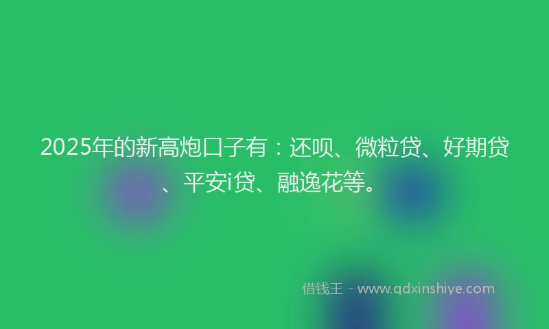 2025年的新高炮口子有：还呗、微粒贷、好期贷、平安i贷、融逸花等。