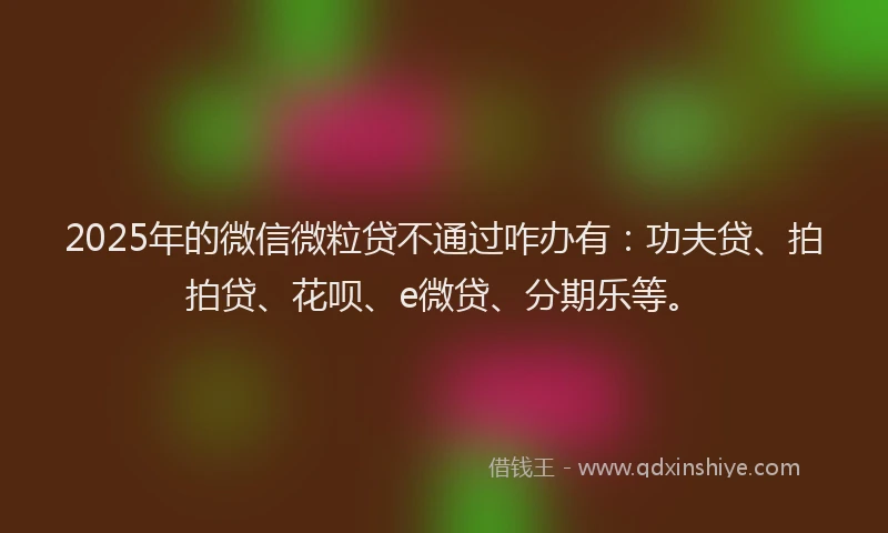 2025年的微信微粒贷不通过咋办有：功夫贷、拍拍贷、花呗、e微贷、分期乐等。