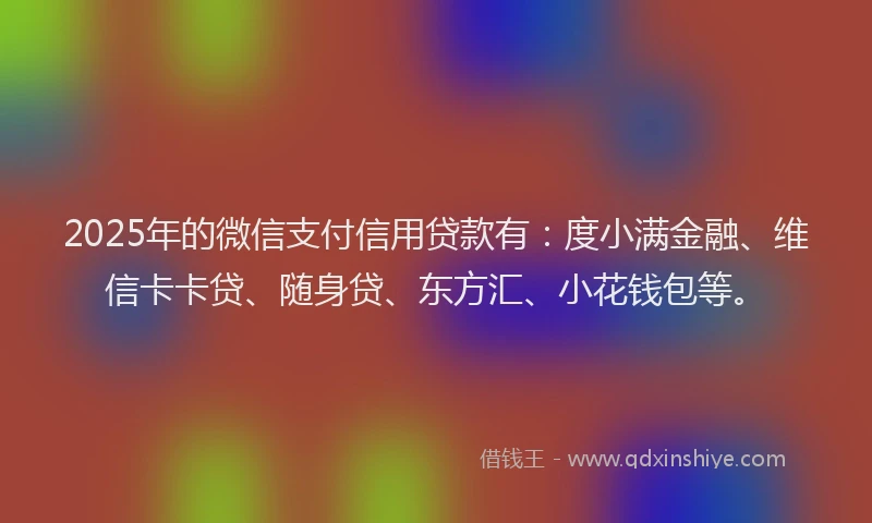 2025年的微信支付信用贷款有：度小满金融、维信卡卡贷、随身贷、东方汇、小花钱包等。