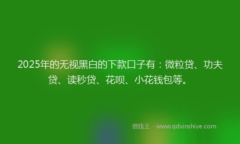 2025年的无视黑白的下款口子有：微粒贷、功夫贷、读秒贷、花呗、小花钱包等。