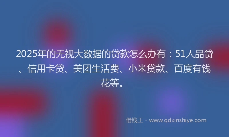 2025年的无视大数据的贷款怎么办有：51人品贷、信用卡贷、美团生活费、小米贷款、百度有钱花等。