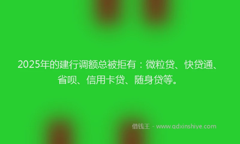 2025年的建行调额总被拒有：微粒贷、快贷通、省呗、信用卡贷、随身贷等。