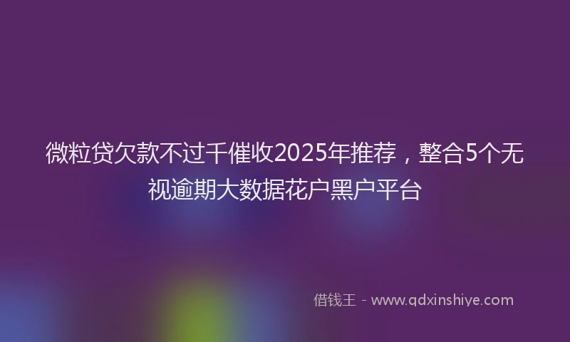 微粒贷欠款不过千催收2025年推荐，整合5个无视逾期大数据花户黑户平台