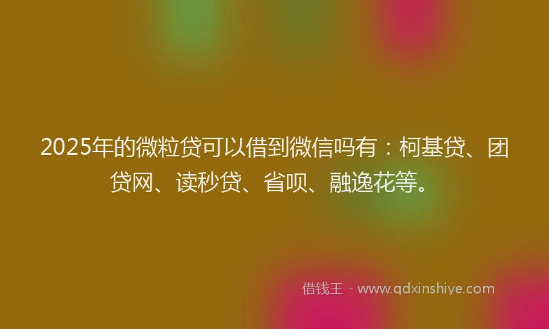 2025年的微粒贷可以借到微信吗有：柯基贷、团贷网、读秒贷、省呗、融逸花等。