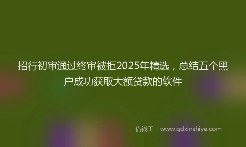 招行初审通过终审被拒2025年精选，总结五个黑户成功获取大额贷款的软件