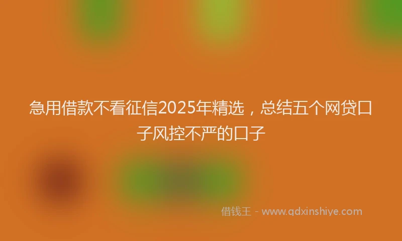 急用借款不看征信2025年精选，总结五个网贷口子风控不严的口子