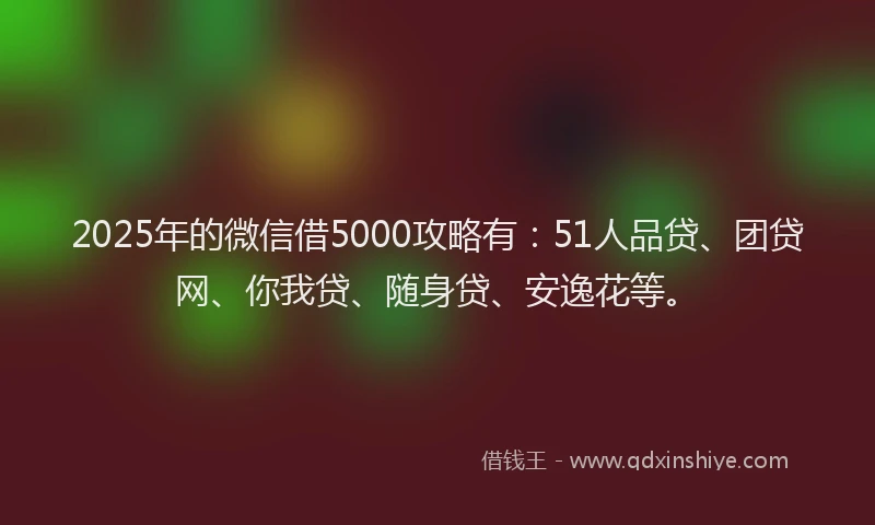 2025年的微信借5000攻略有：51人品贷、团贷网、你我贷、随身贷、安逸花等。