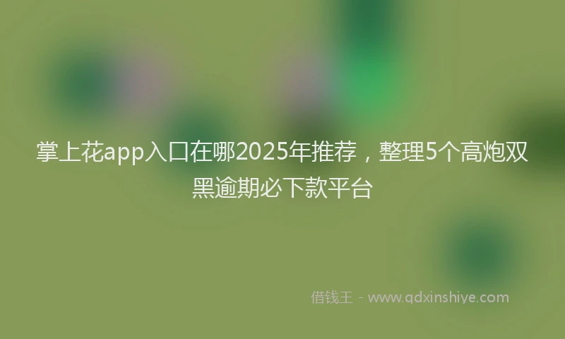 掌上花app入口在哪2025年推荐，整理5个高炮双黑逾期必下款平台