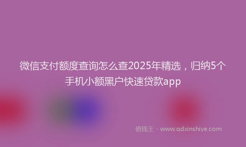 微信支付额度查询怎么查2025年精选，归纳5个手机小额黑户快速贷款app