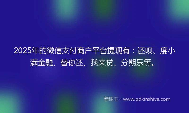 2025年的微信支付商户平台提现有：还呗、度小满金融、替你还、我来贷、分期乐等。