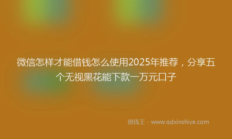 微信怎样才能借钱怎么使用2025年推荐，分享五个无视黑花能下款一万元口子