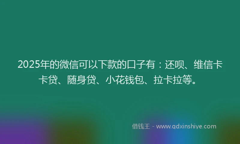 2025年的微信可以下款的口子有：还呗、维信卡卡贷、随身贷、小花钱包、拉卡拉等。