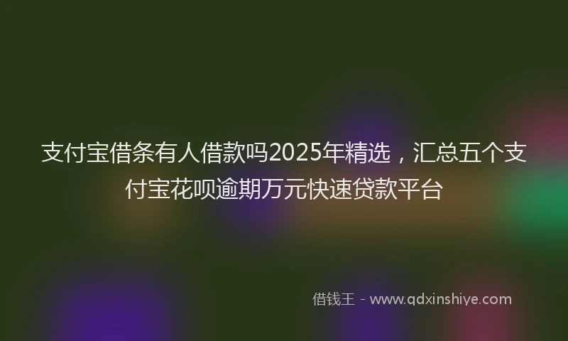 支付宝借条有人借款吗2025年精选，汇总五个支付宝花呗逾期万元快速贷款平台