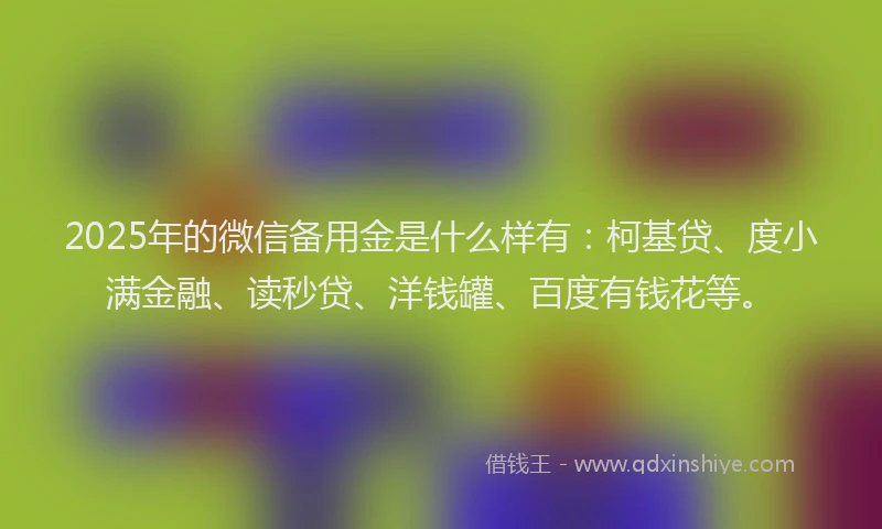 2025年的微信备用金是什么样有：柯基贷、度小满金融、读秒贷、洋钱罐、百度有钱花等。