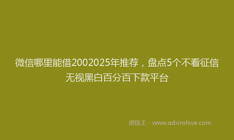 微信哪里能借2002025年推荐，盘点5个不看征信无视黑白百分百下款平台