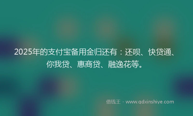 2025年的支付宝备用金归还有：还呗、快贷通、你我贷、惠商贷、融逸花等。