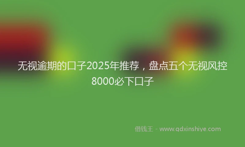 无视逾期的口子2025年推荐，盘点五个无视风控8000必下口子
